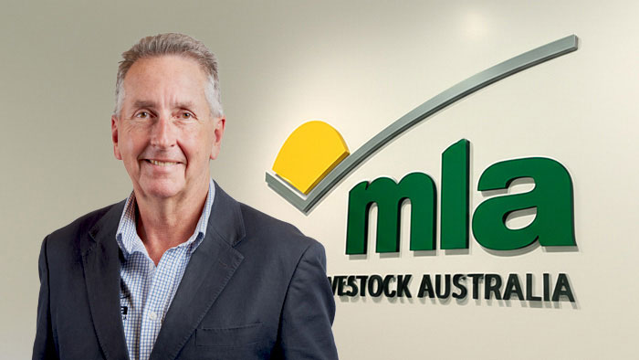 MLA Board