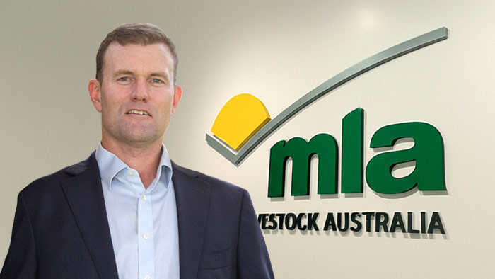 MLA Leadership Team