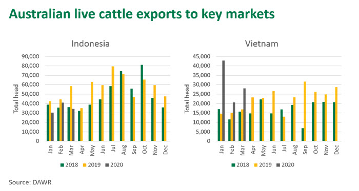 Aust-live-cattle-exports-300420.jpg