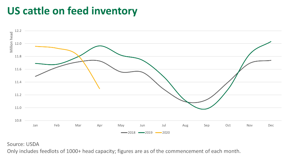 US-cattle-feed-210520.png