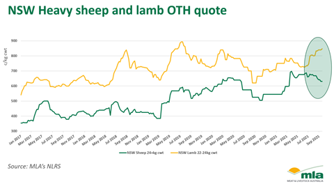 NSW Heavy sheep and lamb OTH quote