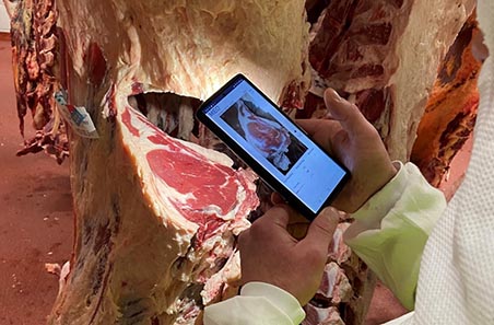 Implementation of Objective Measurement