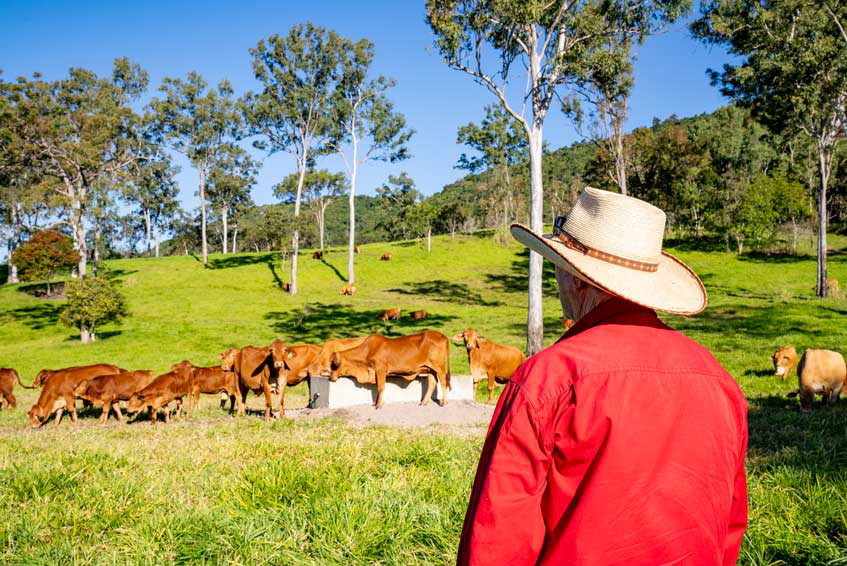 Set your pastures up for success