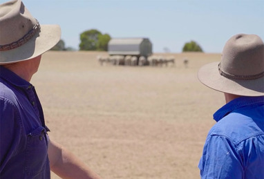 Drought management hub