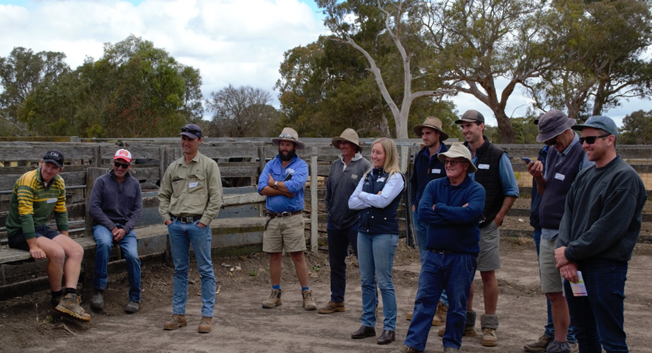 Three ways producer groups can prepare for the PDS open call