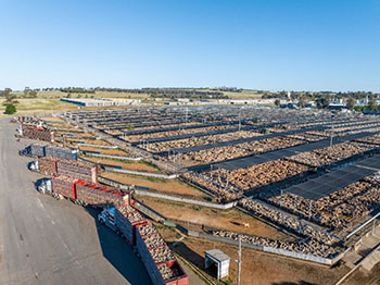 Saleyards
