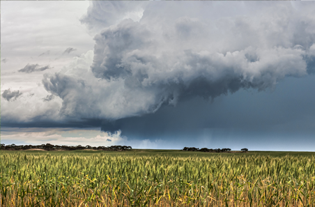 Big rains bring a short week for processors