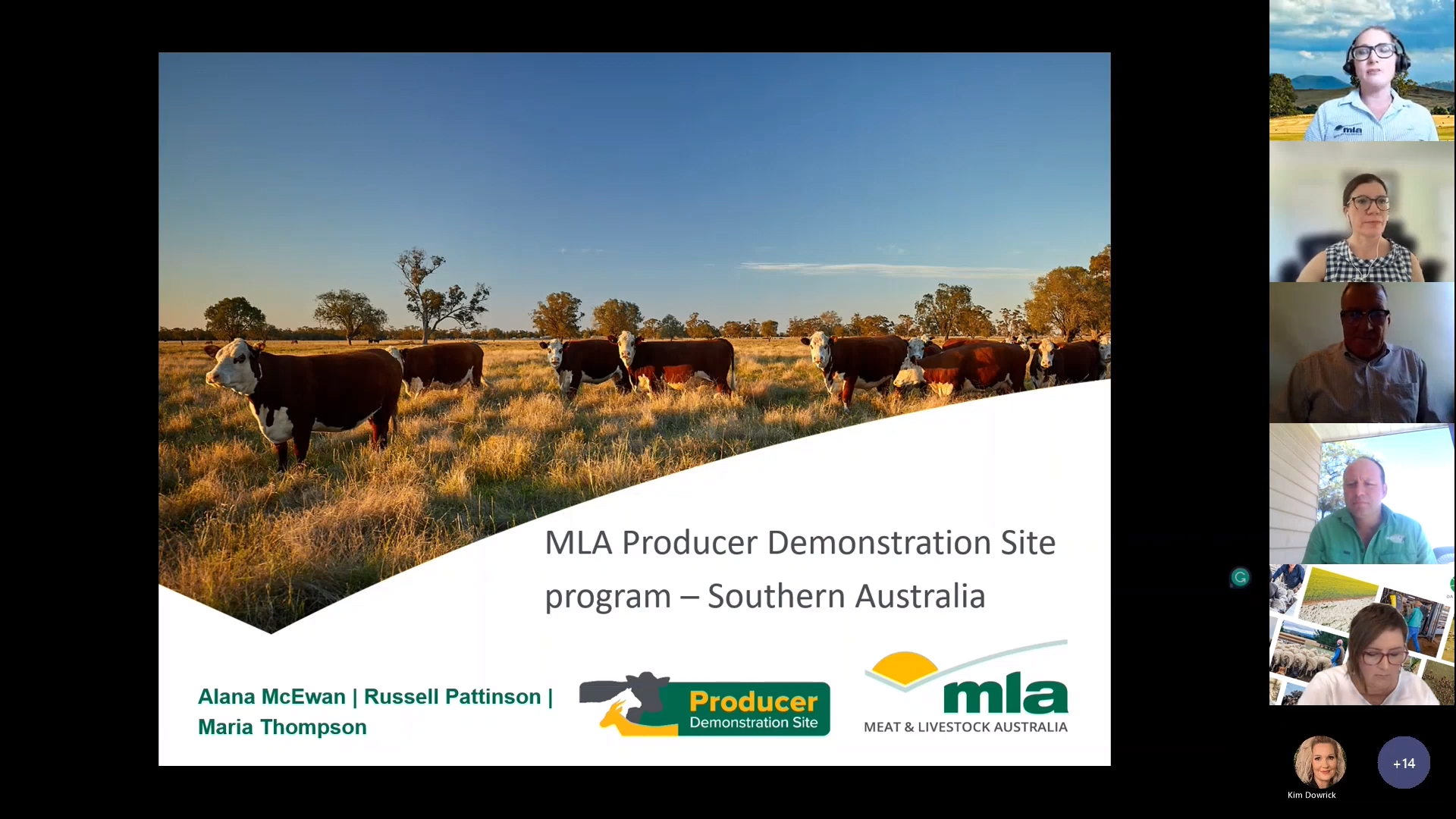 PDS webinar – southern producers