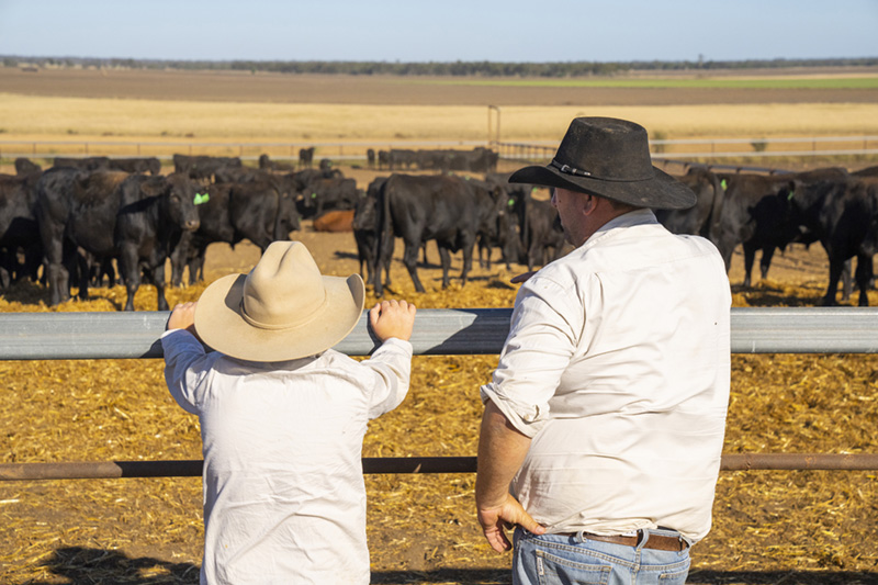 Improving animal wellbeing