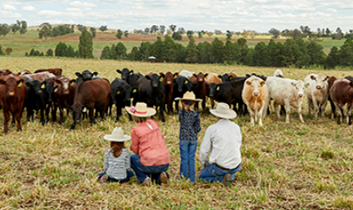 Planning for succession?