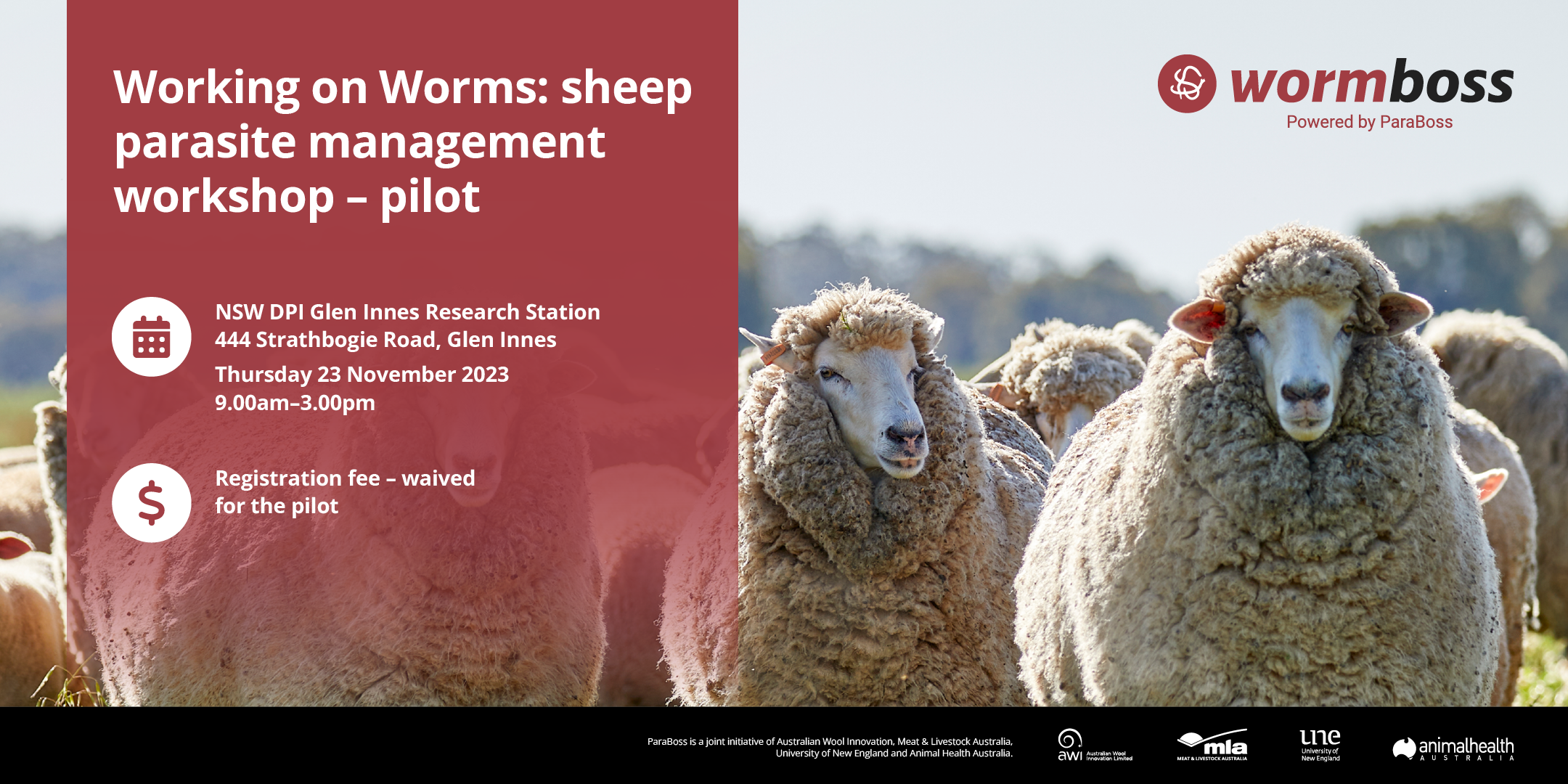 ParaBoss Sheep Workshop 23.11.2023 social_2160x1080.png