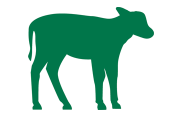 Herd management