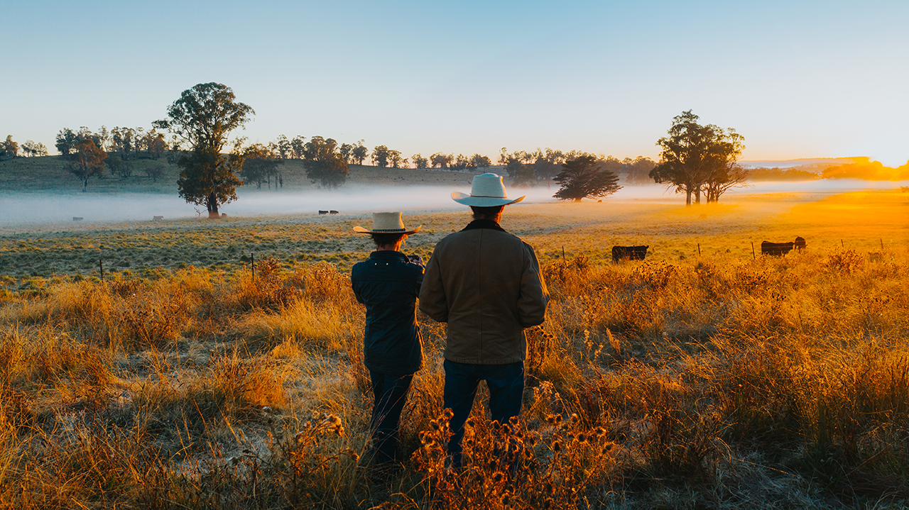 Profitable Grazing Systems hub