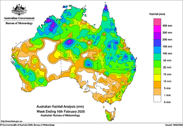 Northern rainfall impacts prices across eastern states