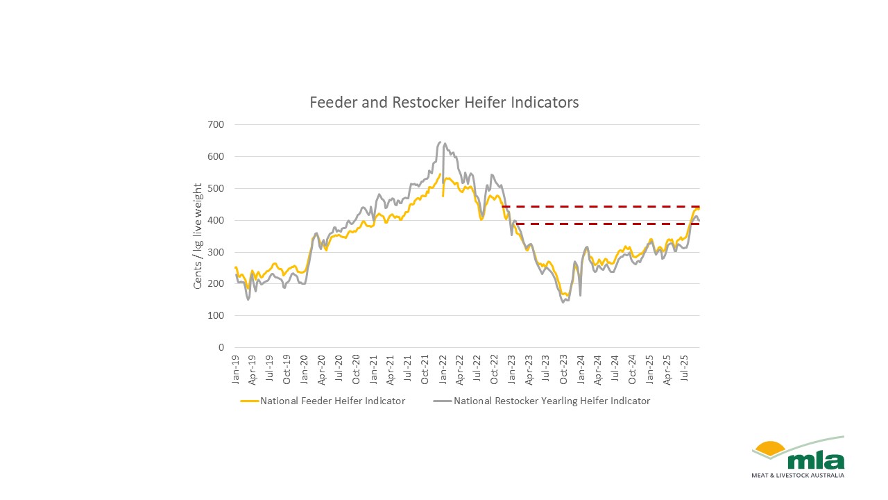 feeder & restocker