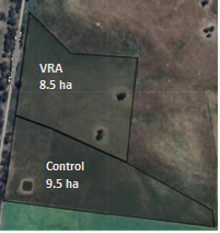 demo site