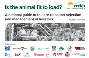 Fit to load guide