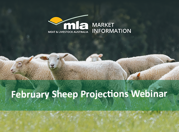February 2023 Sheep Projections - Webinar