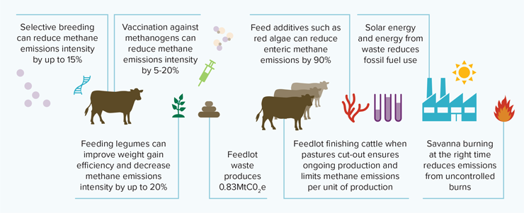 Industry GHG emissions avoidance | Meat & Livestock Australia