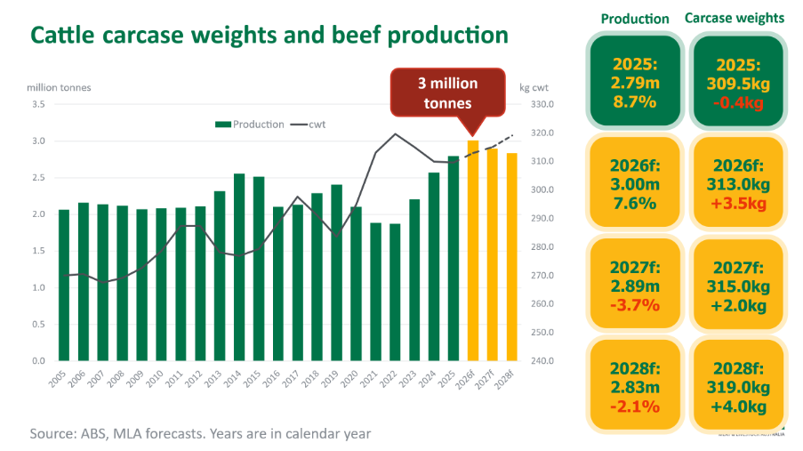 Cattle carcase weights and beef production graphic