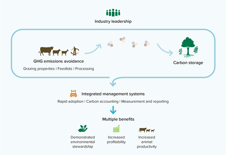 Four work areas to achieve carbon neutrality 