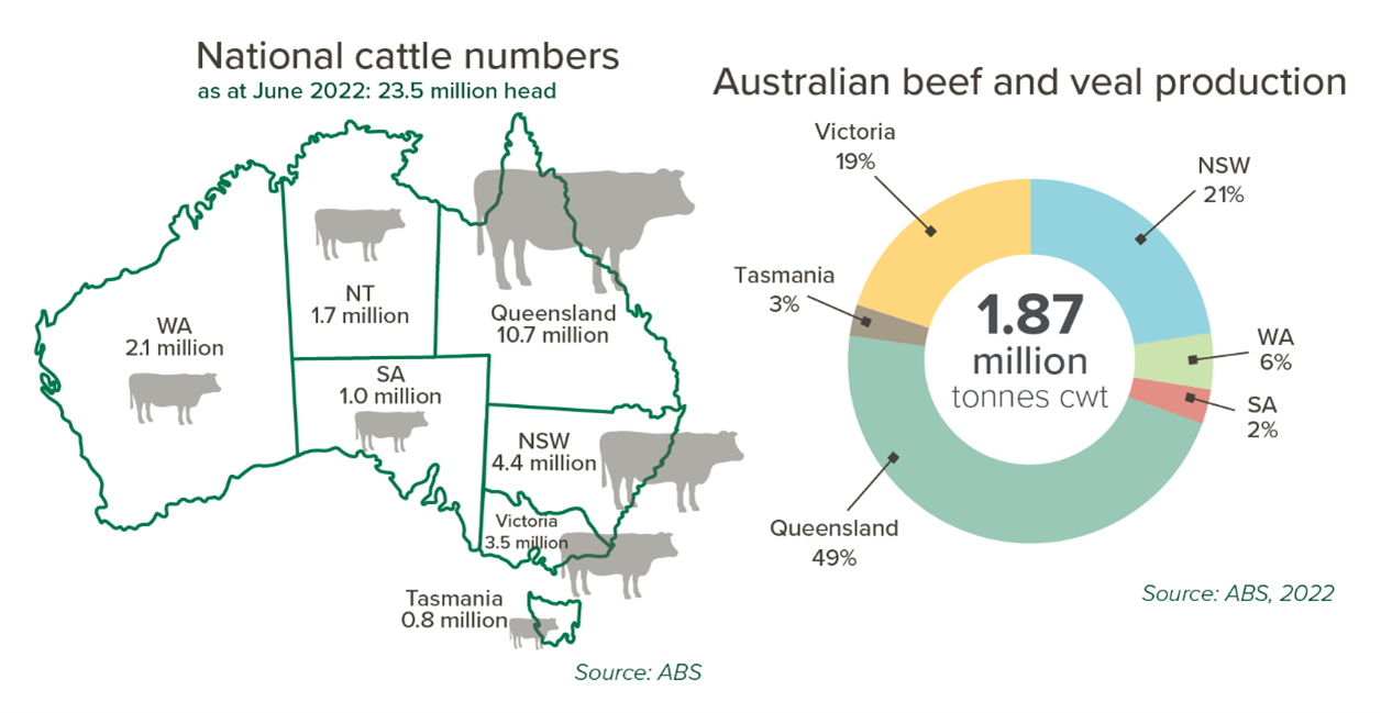 The red meat industry Meat & Livestock Australia