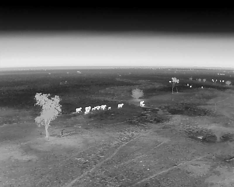 skykelpie thermal camera