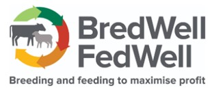 BWFW Logo.jpg