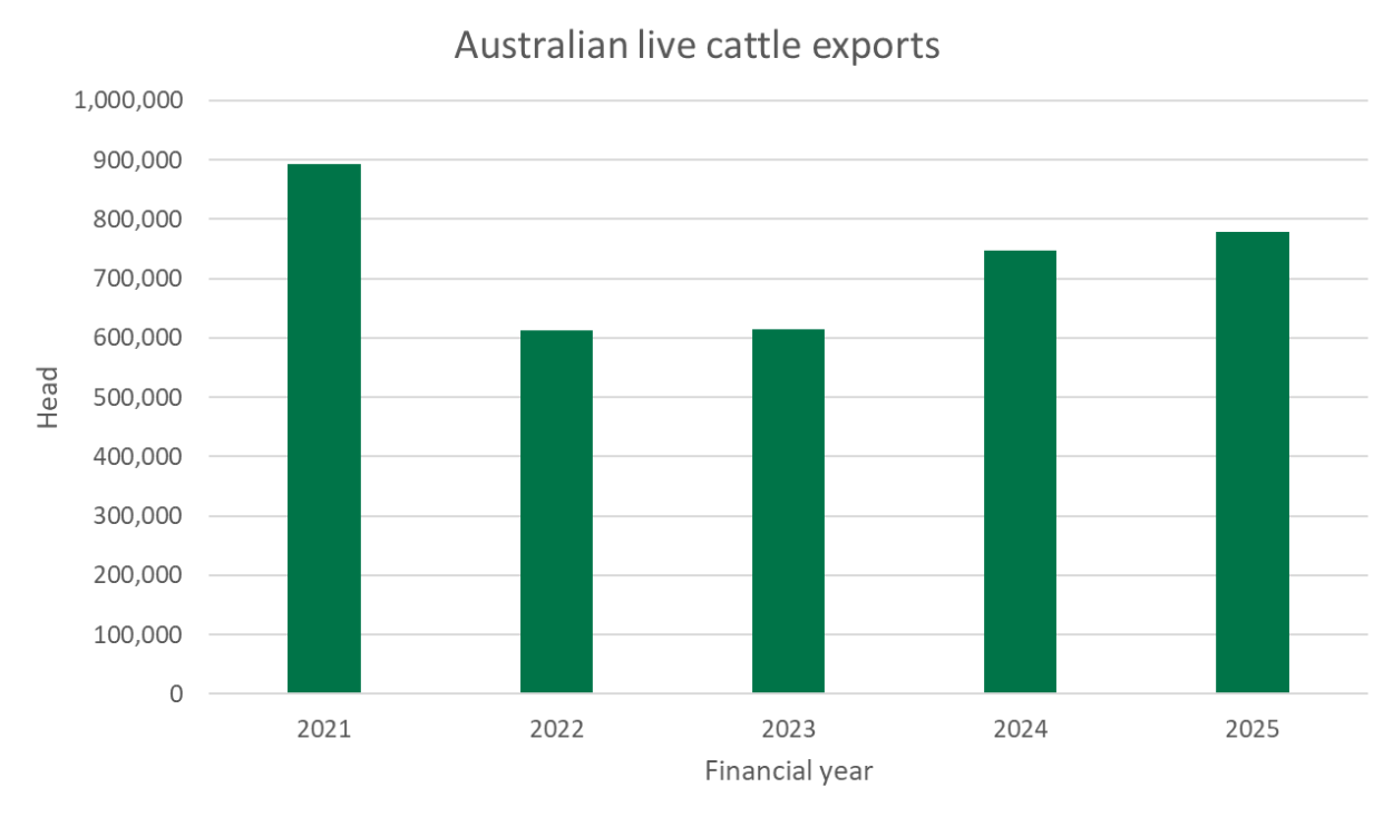 live cattle exports