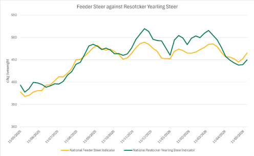 Figure 3: Feeder Steer vs Restocker Yearling Steer Indicators. Source: NLRS.