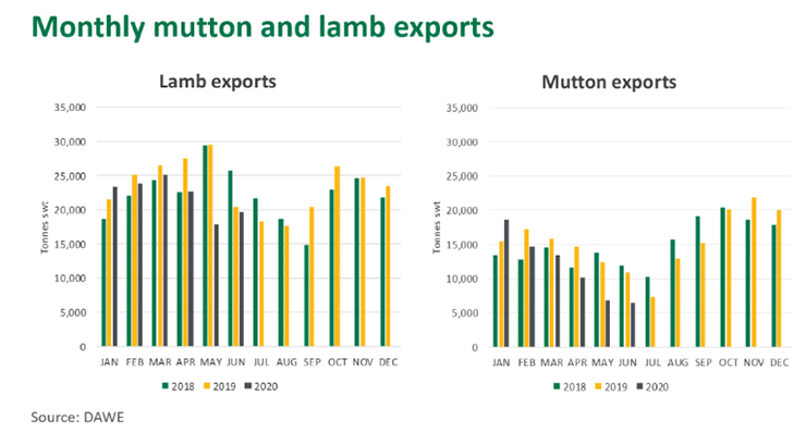 Monthly mutton and lamb exports