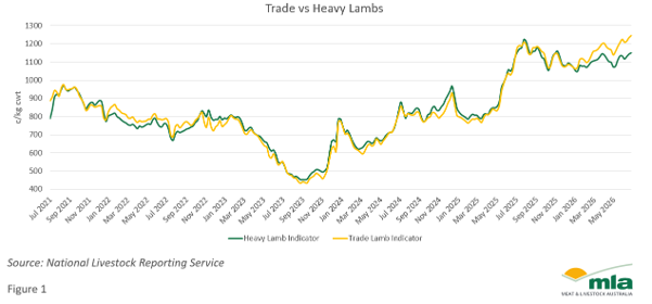 Trade vs Heavy Lambs