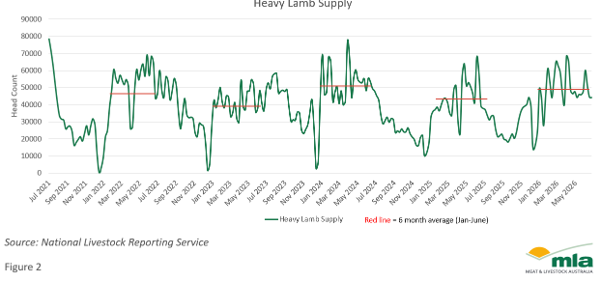 Heavy Lamb Supply