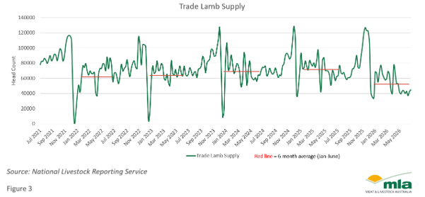 Trade Lamb Supply