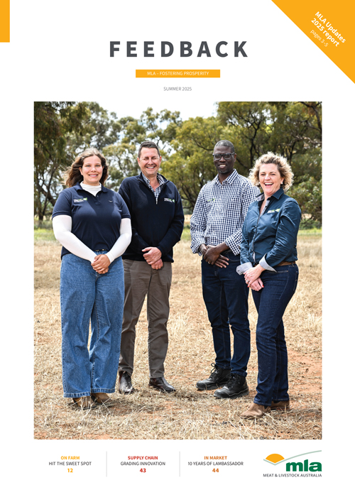 MLA Feedback magazine - Spring 2025