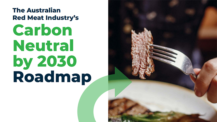 MLA’s roadmap to CN30