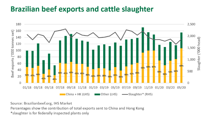 Brazilian beef exports and cattle slaughter graph