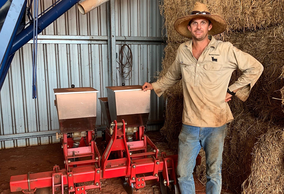 Weeds, wallabies and water: taking on the northern leucaena challenge