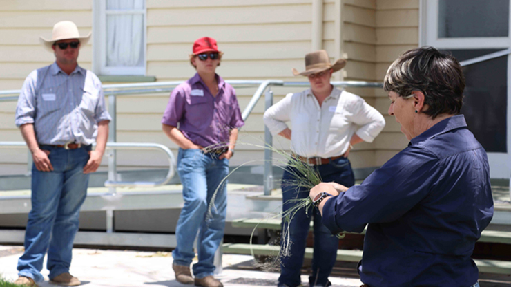 Learning the ‘why’ behind grazing decisions