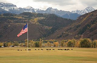 Global Beef Market update