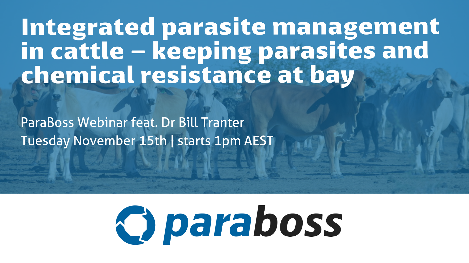 ParaBoss webinar: Integrated parasite management in cattle – keeping parasites and chemical resistance at bay
