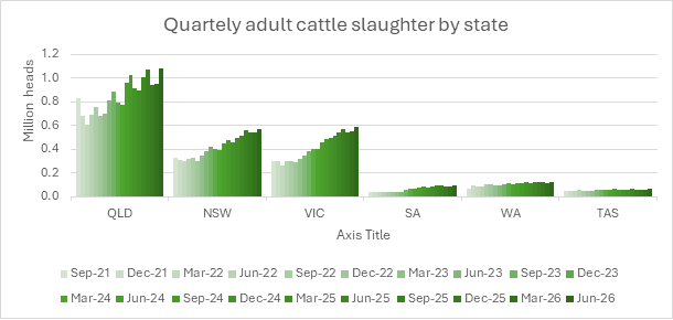 cattle slaughter by state