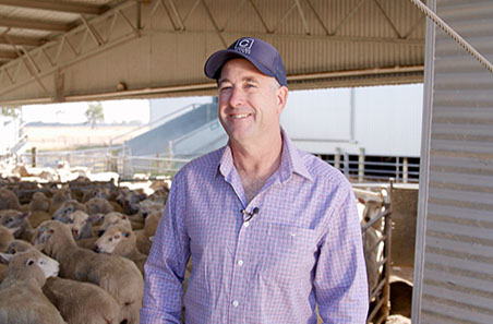 Strategic joining decisions boost lamb survival