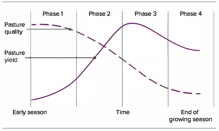 david-infographic.png