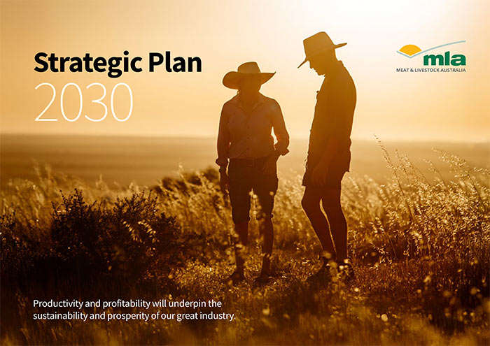 MLA-2030-Strategic-Plan.jpg