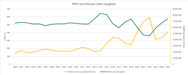 NYCI and annual cattle slaughter 26th june 2026