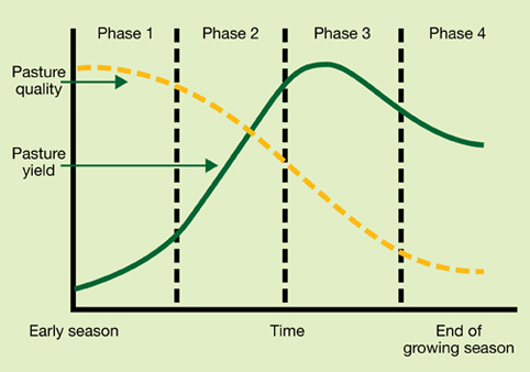 Pasture growth curve