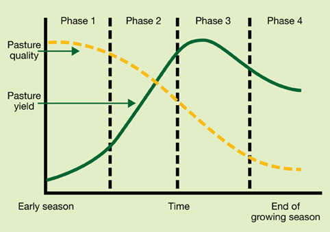 4-Pasture-Growth-LR.jpg