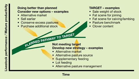 7-Pathway-to-Market-LR.jpg