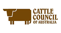 CCA Logo.jpg